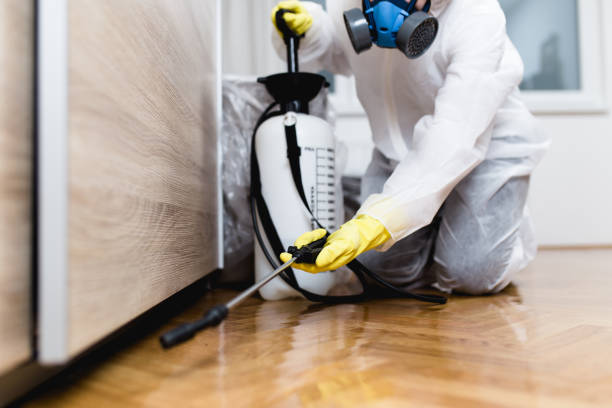 Best Affordable Pest Control Services  in Roseburg Nth, OR