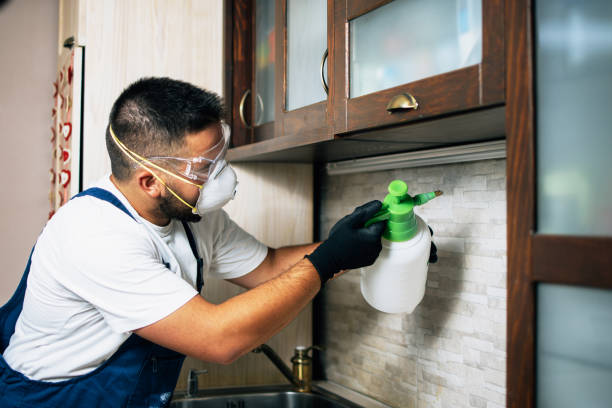 Flea Control Services in Roseburg North, OR