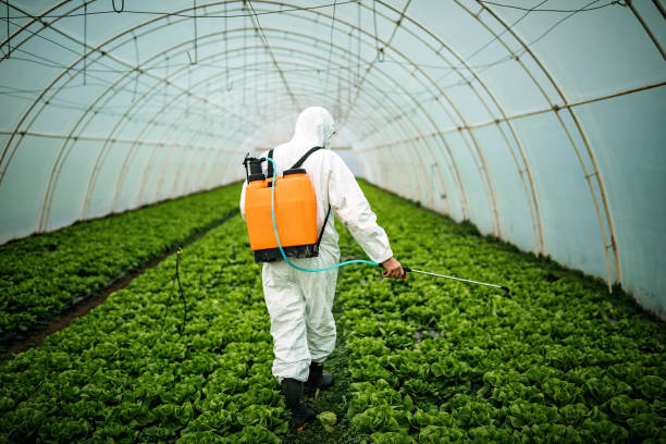 Professional Pest Control in Roseburg North, OR