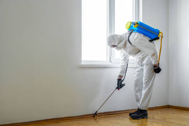 Best Pest Control Near Me  in Roseburg Nth, OR