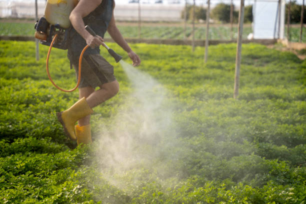 Best Best Pest Control Companies  in Roseburg Nth, OR