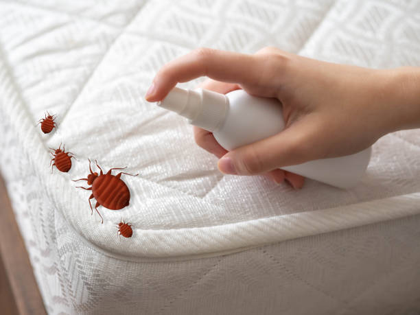 Best Bed Bug Extermination  in Roseburg Nth, OR