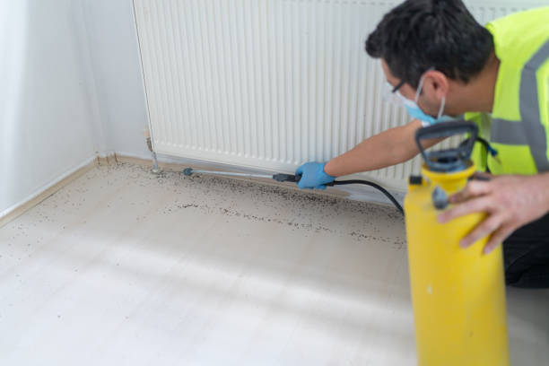 Best Pest Removal Services  in Roseburg Nth, OR