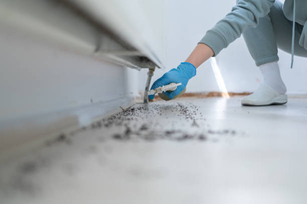 Best Mosquito Control Services  in Roseburg Nth, OR