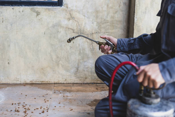 Best Pest Control Treatment  in Roseburg Nth, OR