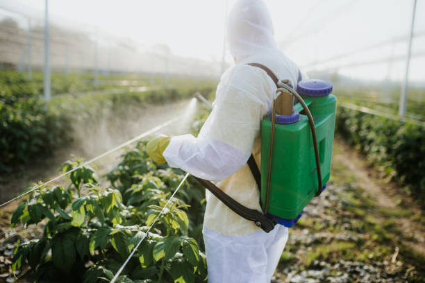 Best Pest Control for Restaurants  in Roseburg Nth, OR